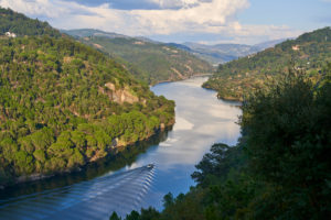 boat on River Douro, Douro Valley, Portugal boat on River Douro, Douro Valley, Portugal
